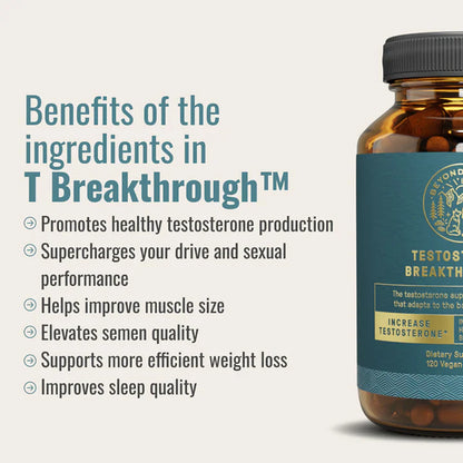 The Dream Body Stack™